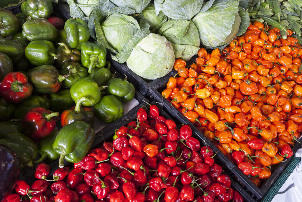 Cosecha de vegetales